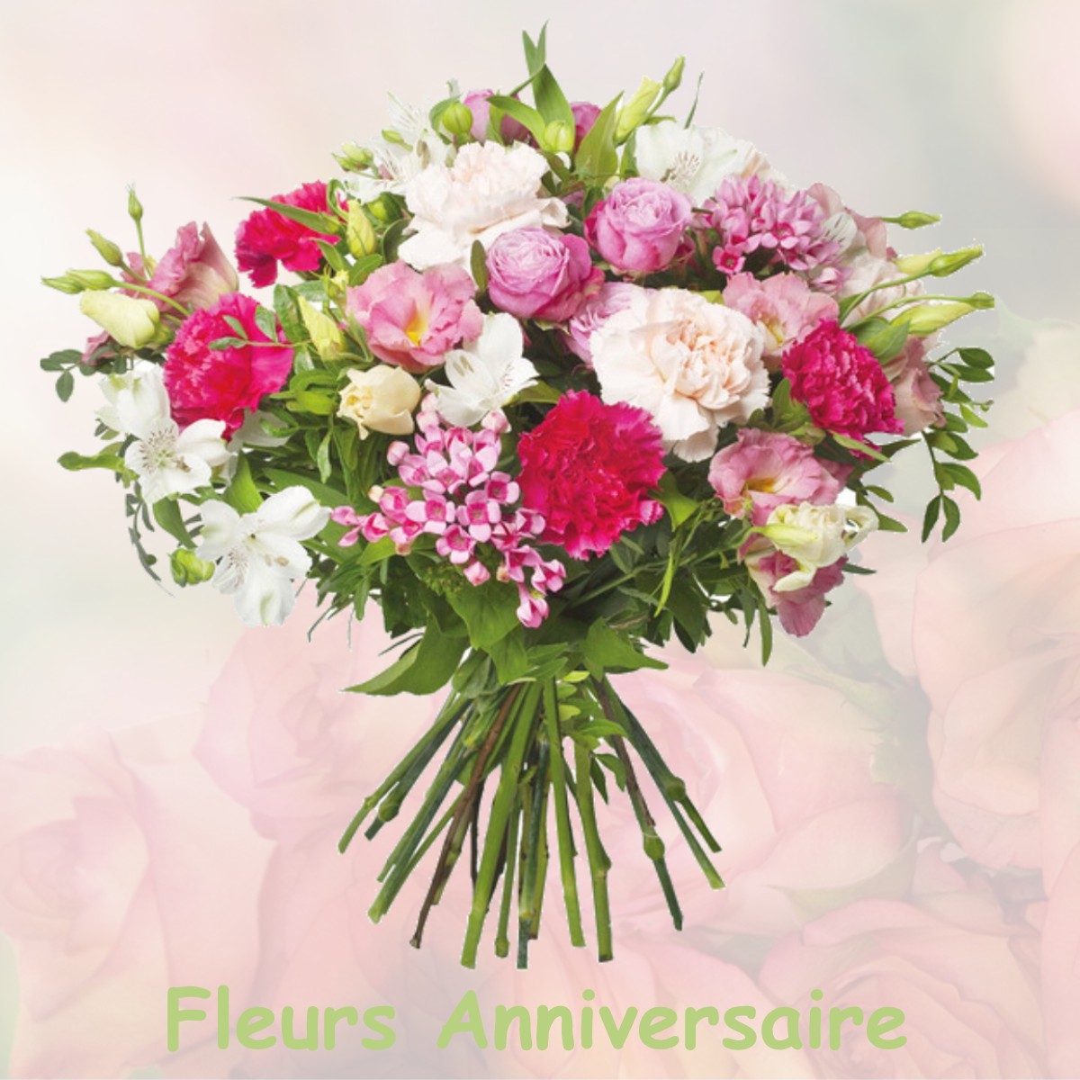 fleurs anniversaire VERNEUIL-MOUSTIERS